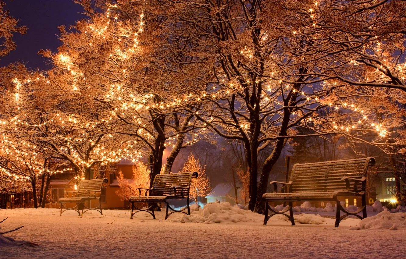 Фото обои зима, снег, ночь, city, город, lights, улица, скамейки