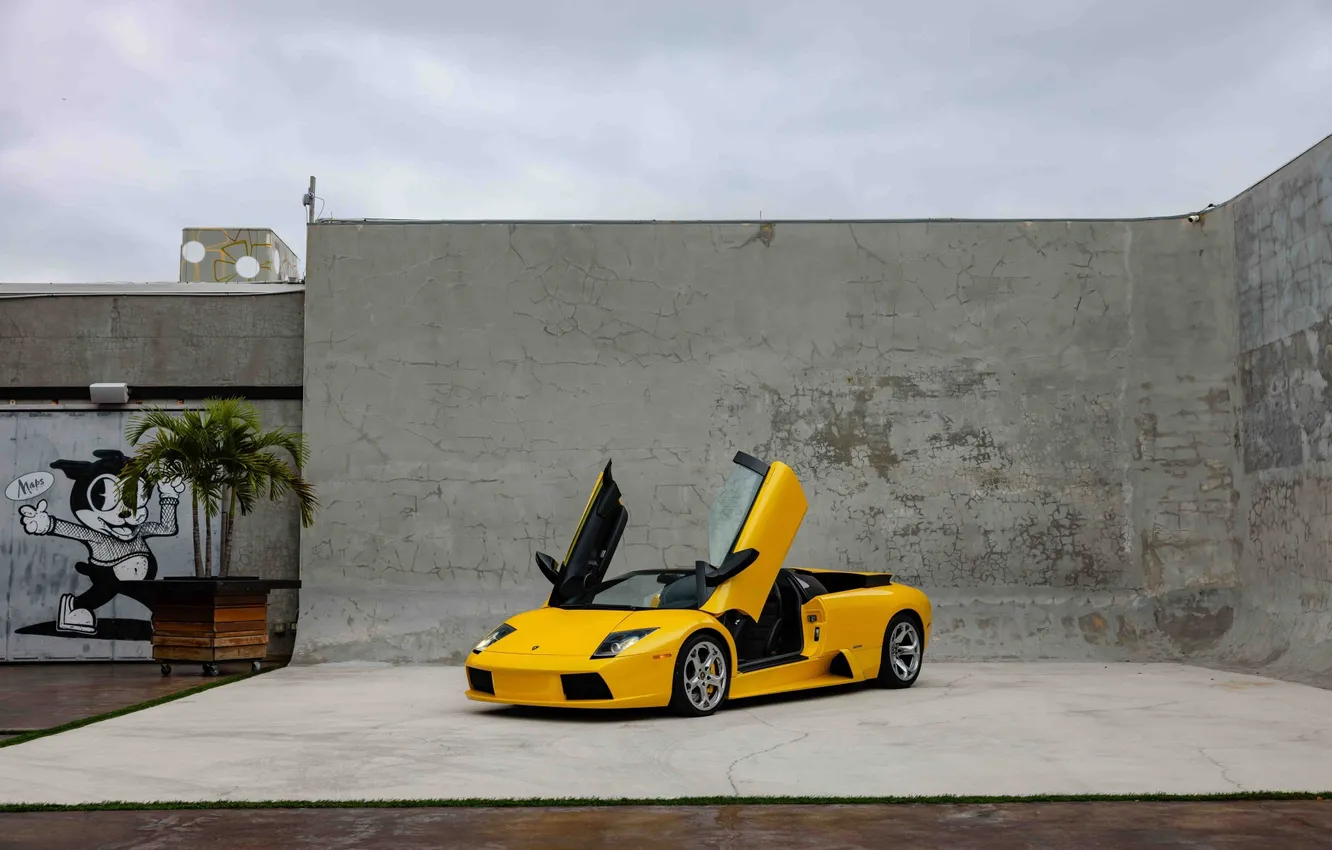 Фото обои car, Lamborghini, sky, clouds, Lamborghini Murcielago Roadster, italian cars, yellow cars