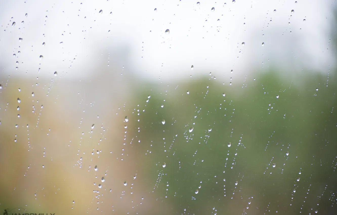 Фото обои осень, стекло, капли, природа, дождь, вид