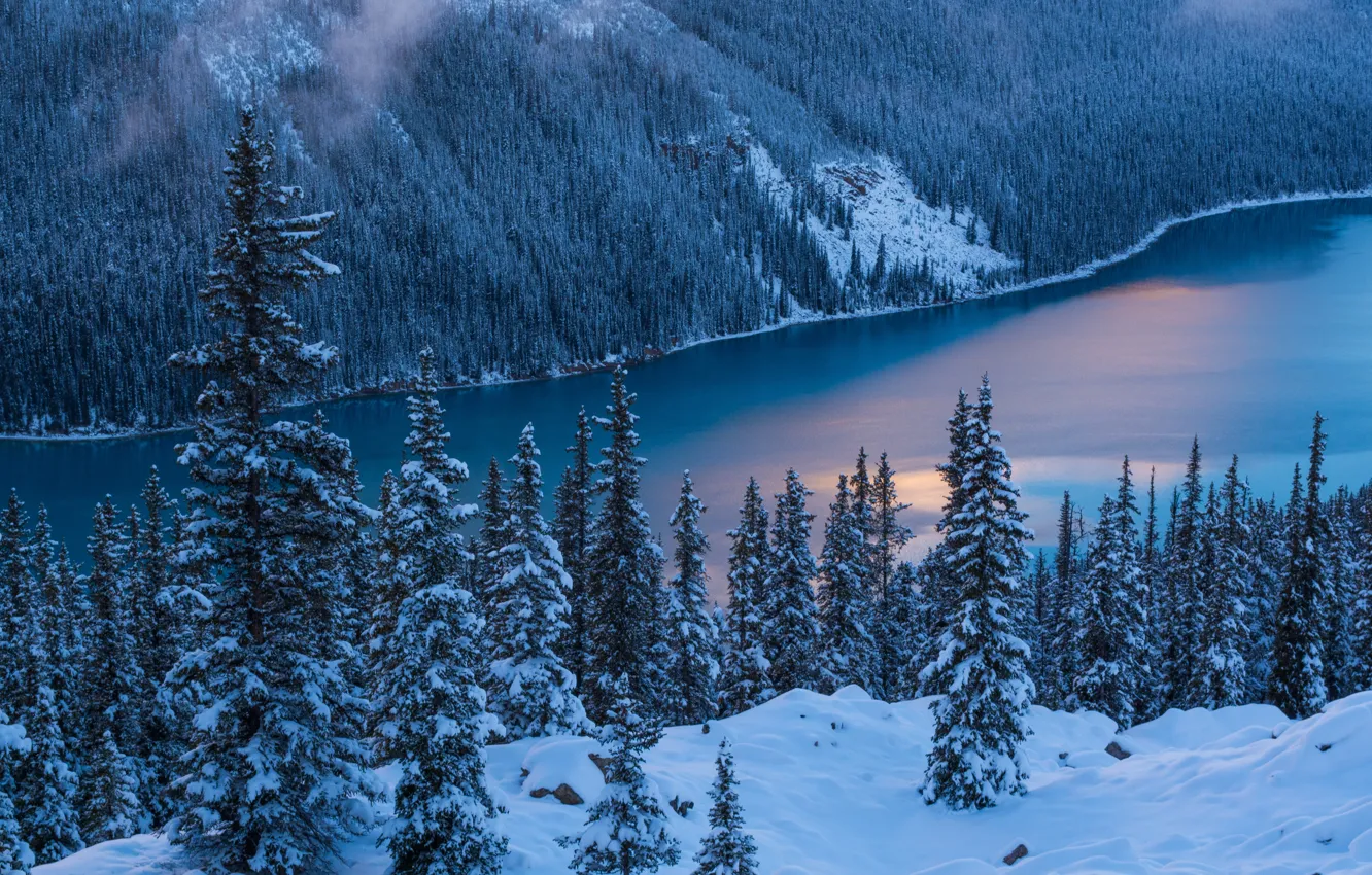 Фото обои Природа, Зима, Деревья, Снег, Banff National Park, Canada, Peyto Lake