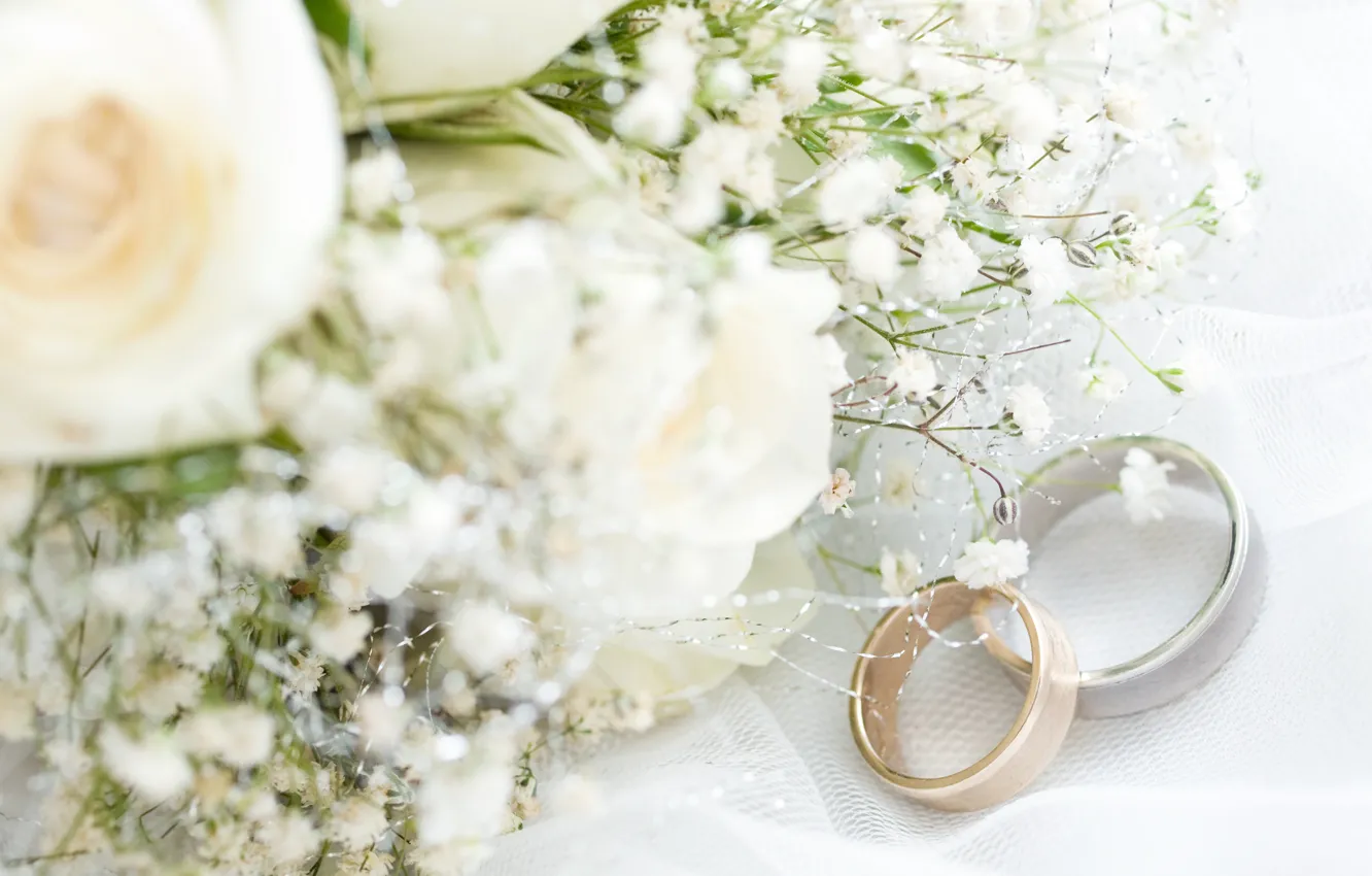 Фото обои цветы, ткань, flowers, обручальные кольца, cloth, wedding rings