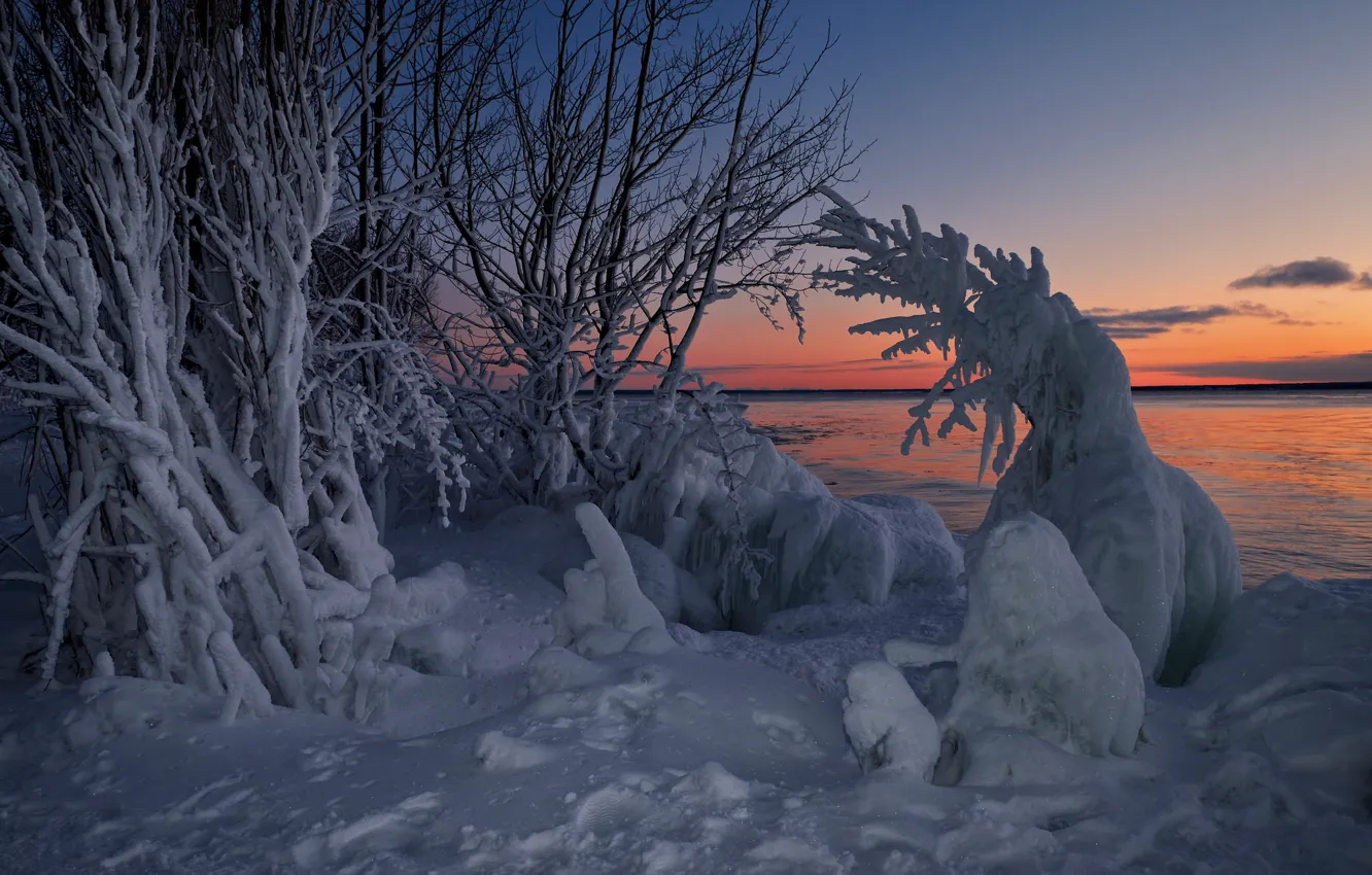 Фото обои зима, снег, деревья, закат, озеро, Канада, Онтарио, Canada