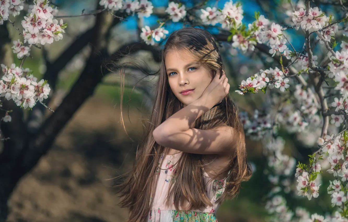 Фото обои весна, девочка, цветение, Иван Славов