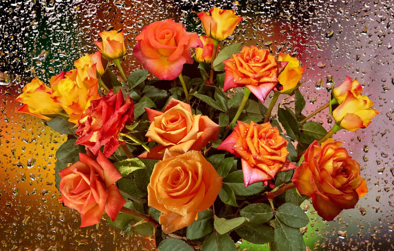Фото обои капли, дождь, розы, Осенний букет