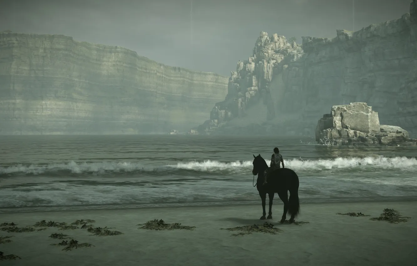 Фото обои море, скалы, прибой, всадник, Shadow of the Colossus, В тени колосаа