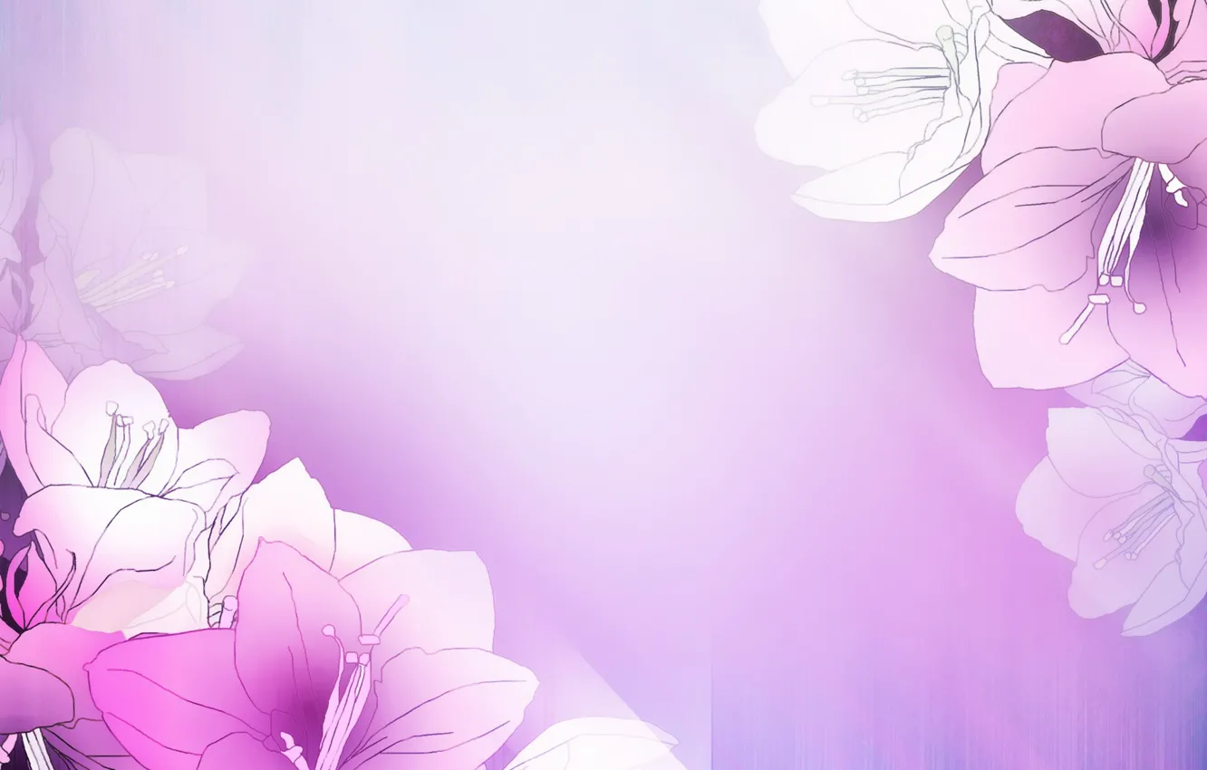 Фото обои цветы, Background, Pattern, Floral