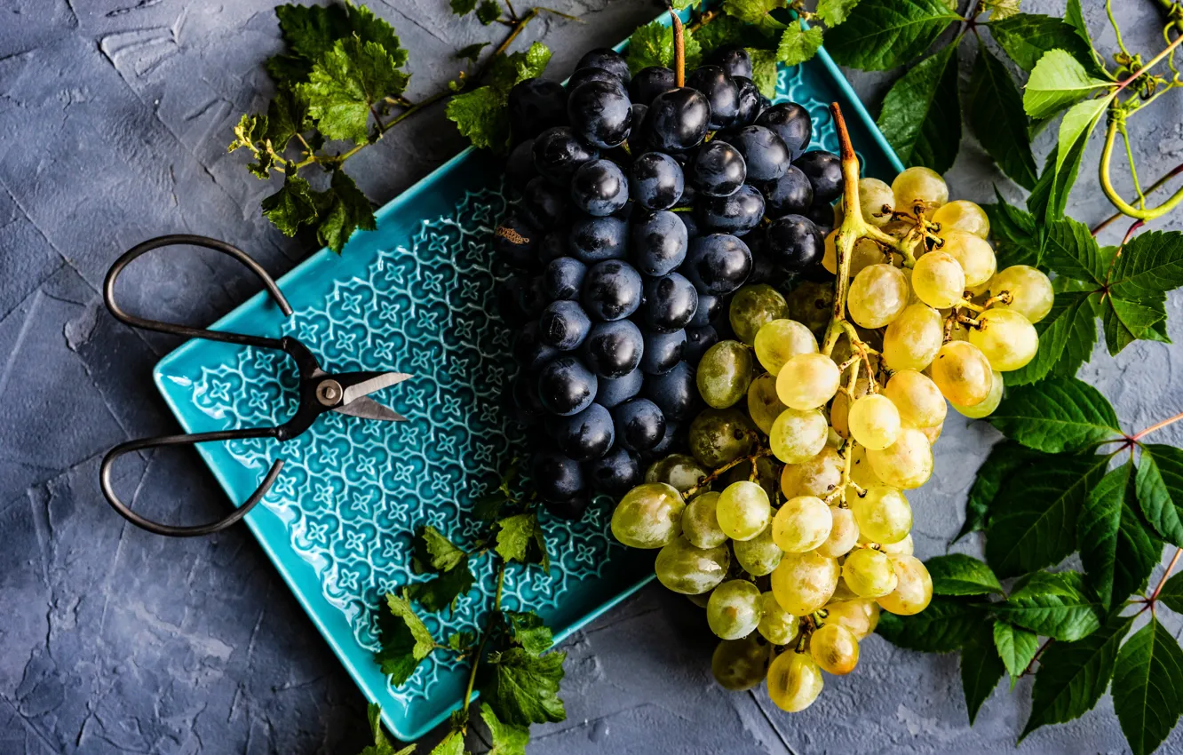 Фото обои тарелка, виноград, гроздья