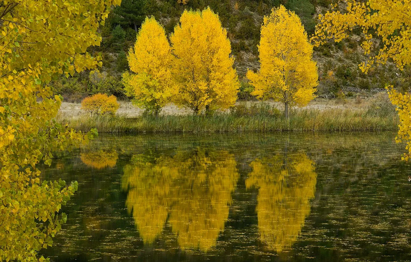 Фото обои осень, листья, деревья, озеро, отражение, река