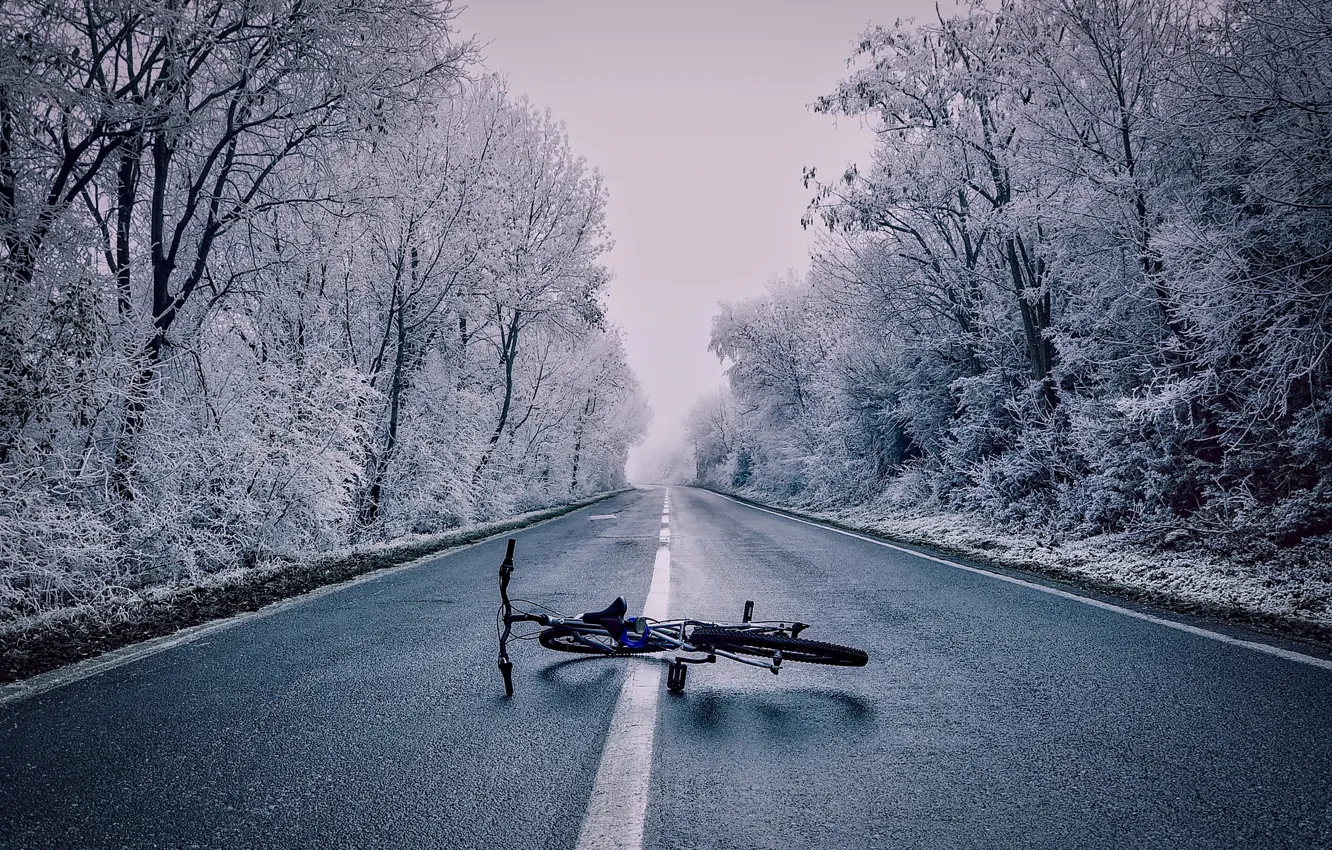 Фото обои зима, лес, снег, деревья, велосипед, туман, шоссе, лежит