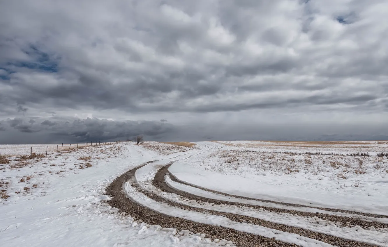 Фото обои дорога, поле, снег