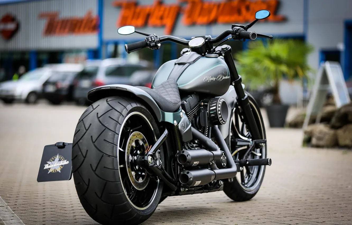 Фото обои Harley Davidson, Harley-Davidson, Motorbike, Thunderbike, Custom bike, By Thunderbike