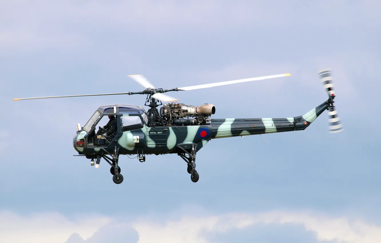 Фото обои вертолёт, военный, британский, многоцелевой, Westland Scout