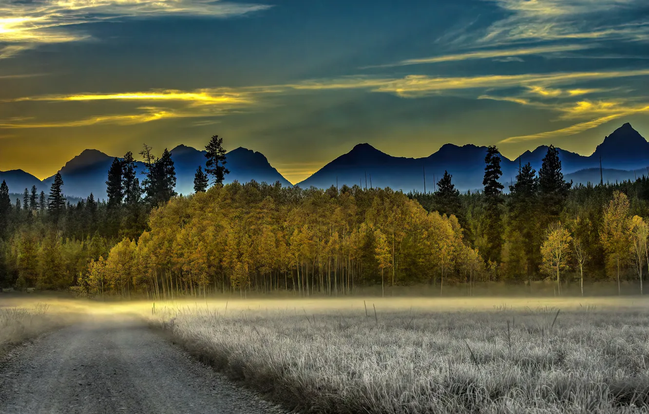 Фото обои иней, дорога, поле, осень, лес, небо, трава, облака