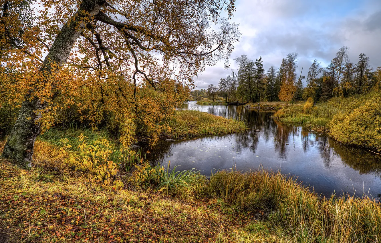 Фото обои осень, HDR, Россия, речка, Вуокса, Приозерск
