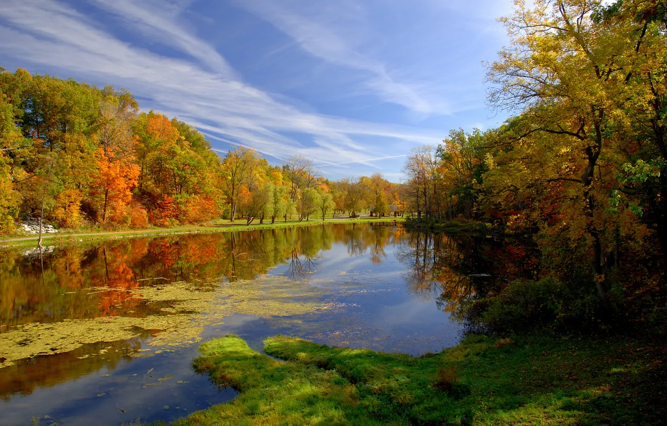 Фото обои осень, природа, пруд, парк