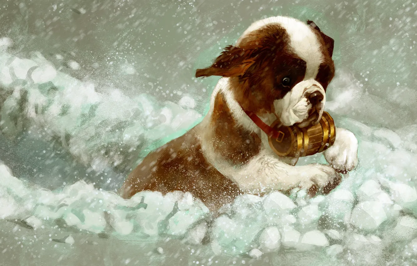 Фото обои зима, снег, сенбернар, щенок