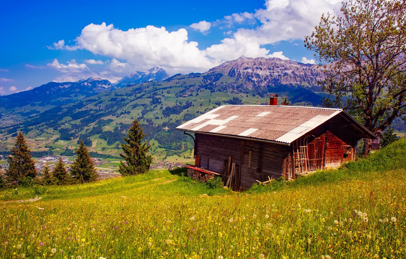 Фото обои трава, облака, деревья, цветы, горы, Швейцария, долина, склон