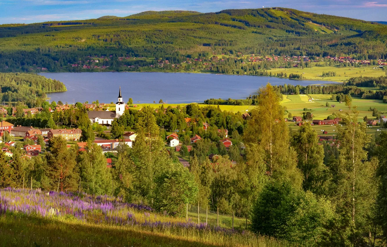 Фото обои солнце, деревья, озеро, холмы, поля, дома, Швеция, леса