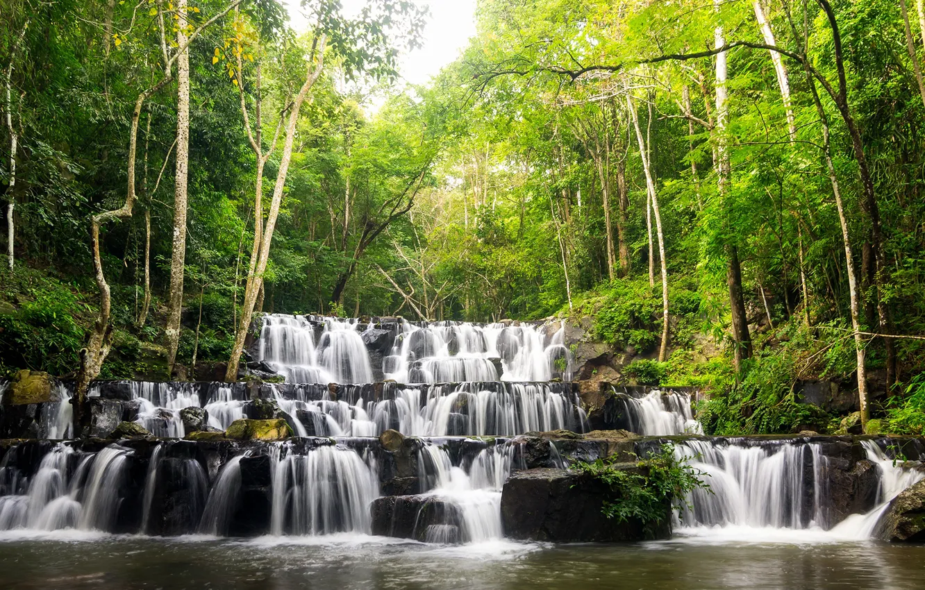 Фото обои зелень, лес, деревья, тропики, ручей, камни, водопад, Таиланд