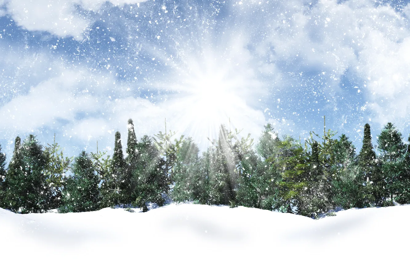 Фото обои зима, небо, солнце, облака, лучи, снег, деревья, снежинки