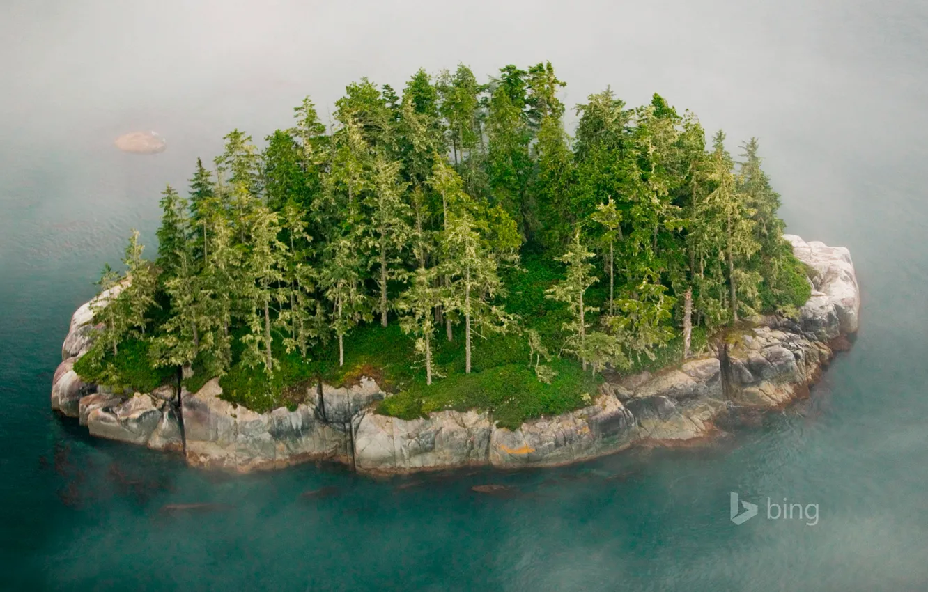 Фото обои деревья, туман, скала, остров, Канада, Британская Колумбия, архипелаг Бротон