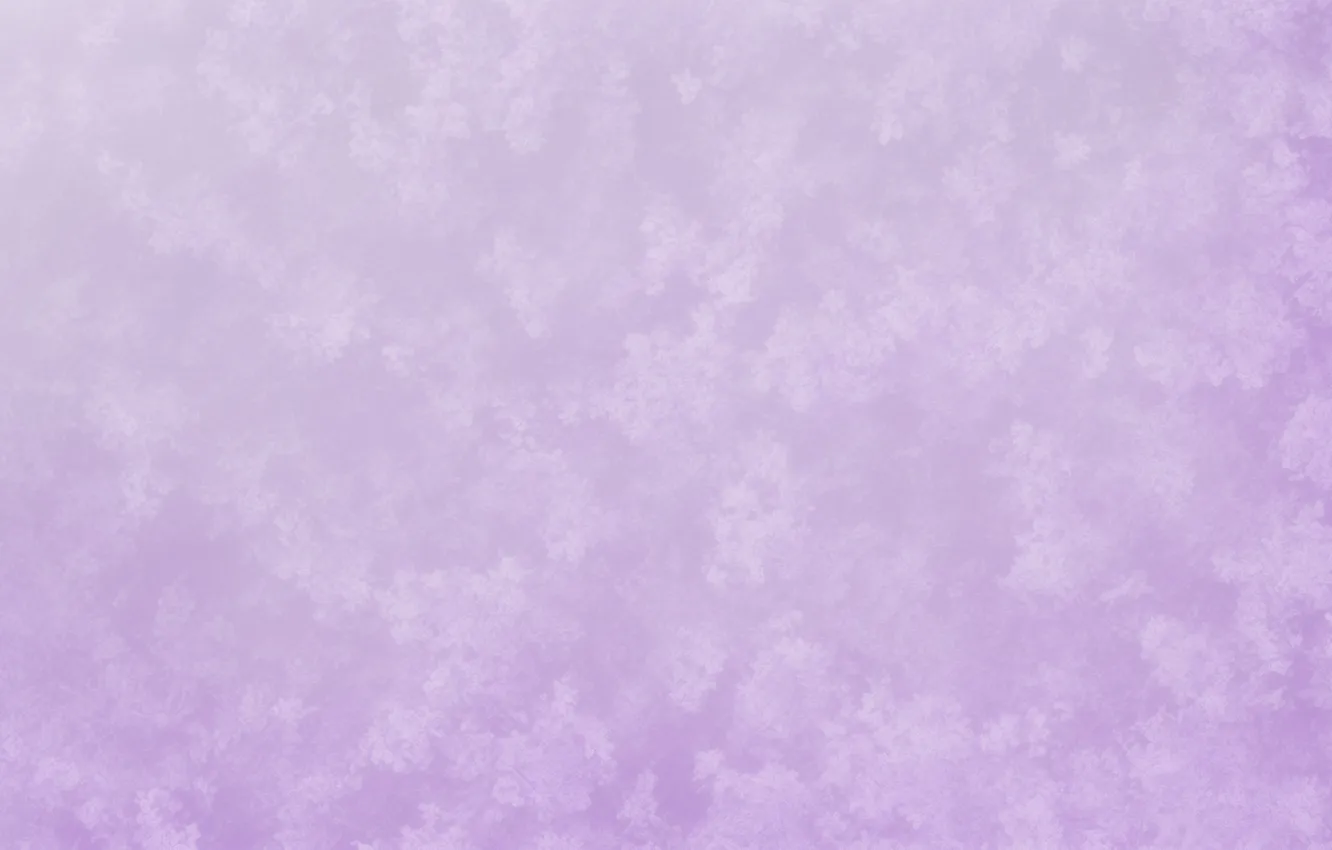 Фото обои цветок, фиолетовый, цветы, фон, сиреневый, обои, wallpaper, flower