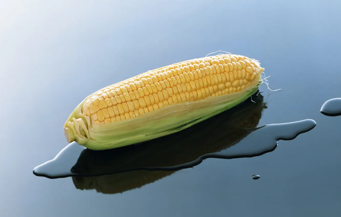 Фото обои вода, природа, кукуруза, початок