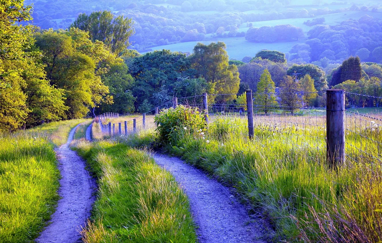 Фото обои дорога, трава, деревья, природа, ограда