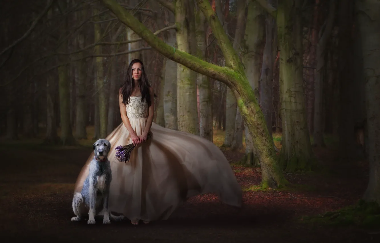 Фото обои лес, девушка, собака, букет, платье, ожидание