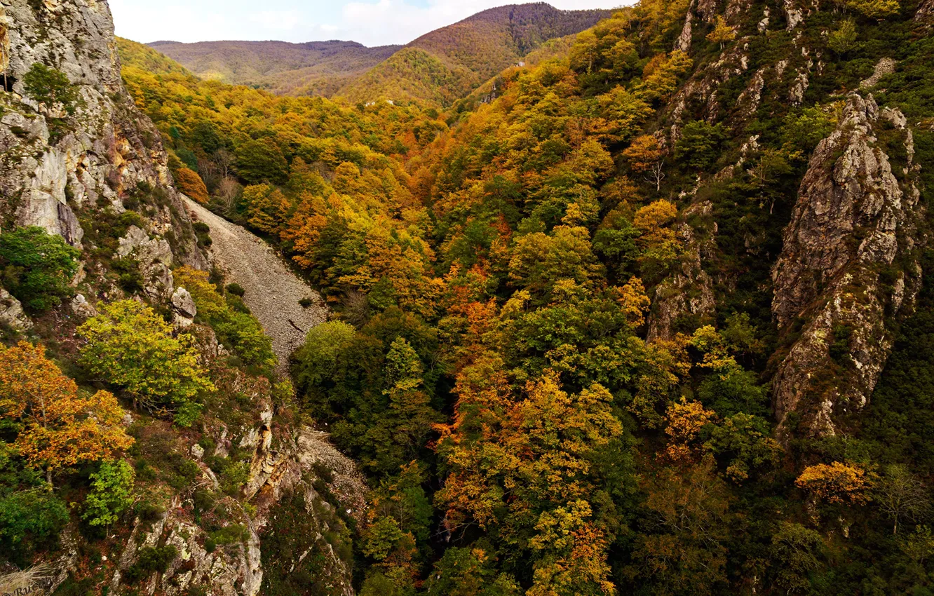 Фото обои осень, лес, деревья, горы, камни, скалы, вид сверху