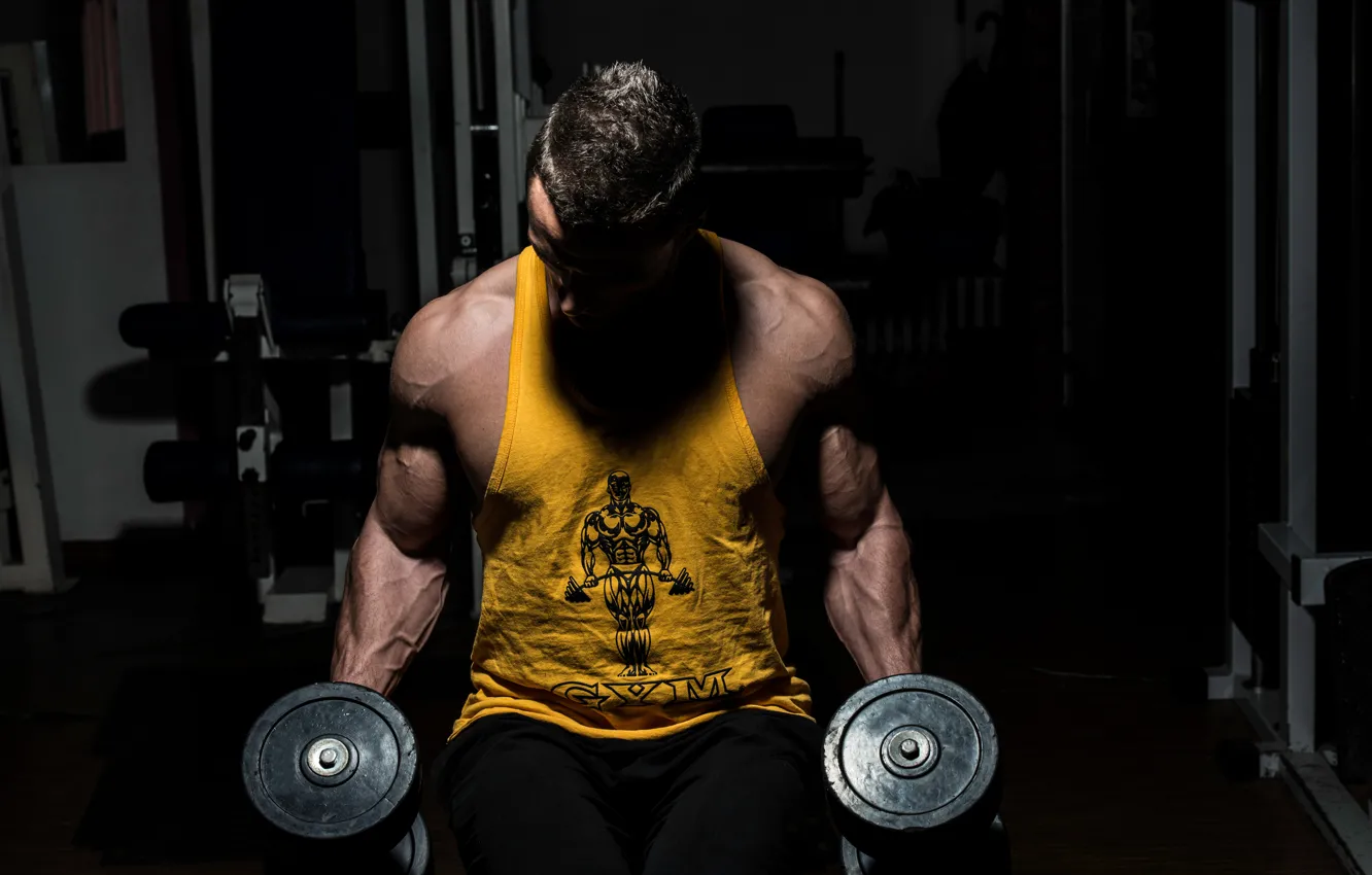 Фото обои muscles, gym, dumbbells, bodybuilder