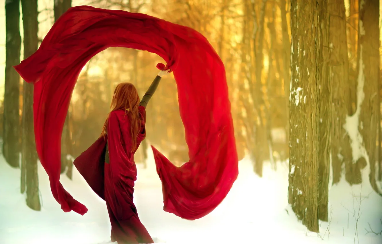 Фото обои зима, лес, девушка, платье