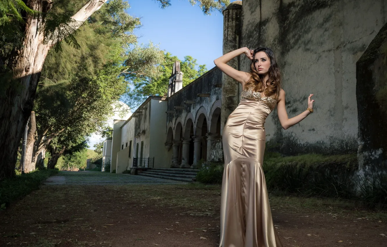 Фото обои девушка, поза, улица