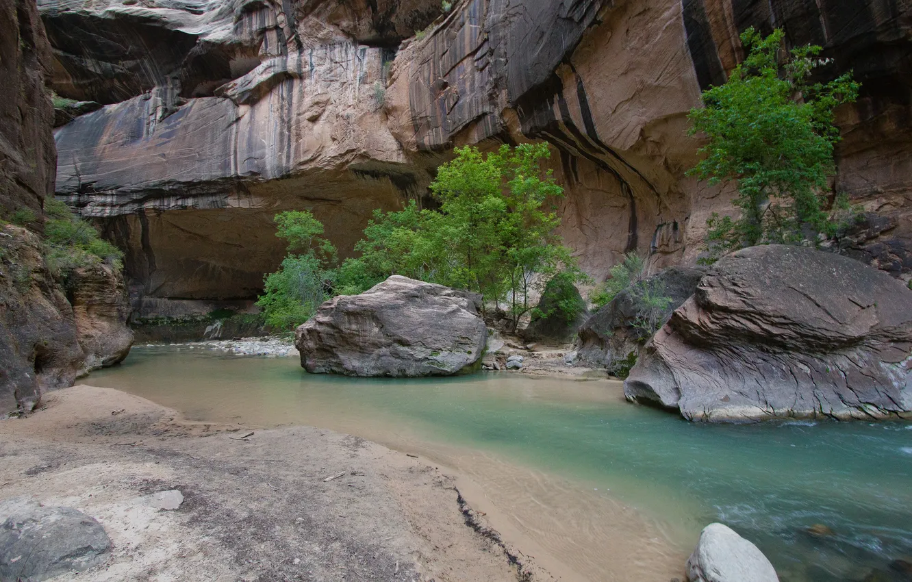 Фото обои деревья, река, камни, скалы, каньон, ущелье