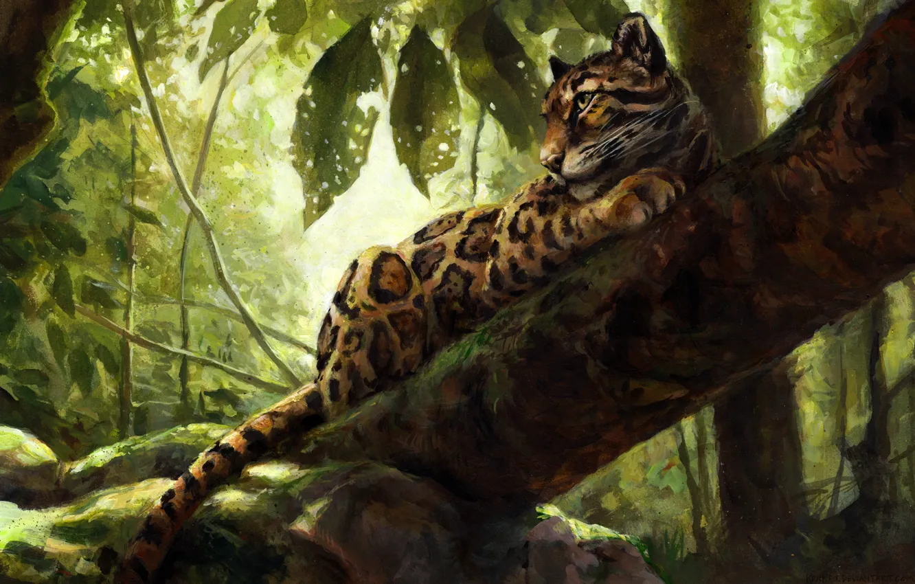 Фото обои природа, дерево, леопард, by kenket