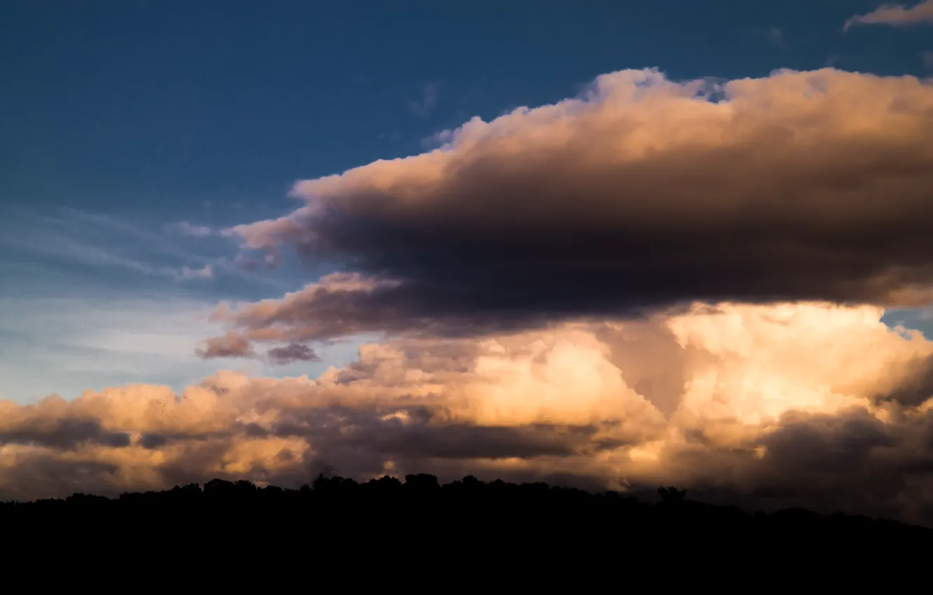 Фото обои Clouds, Sky, Sunset, Autumn, Forest, Bright