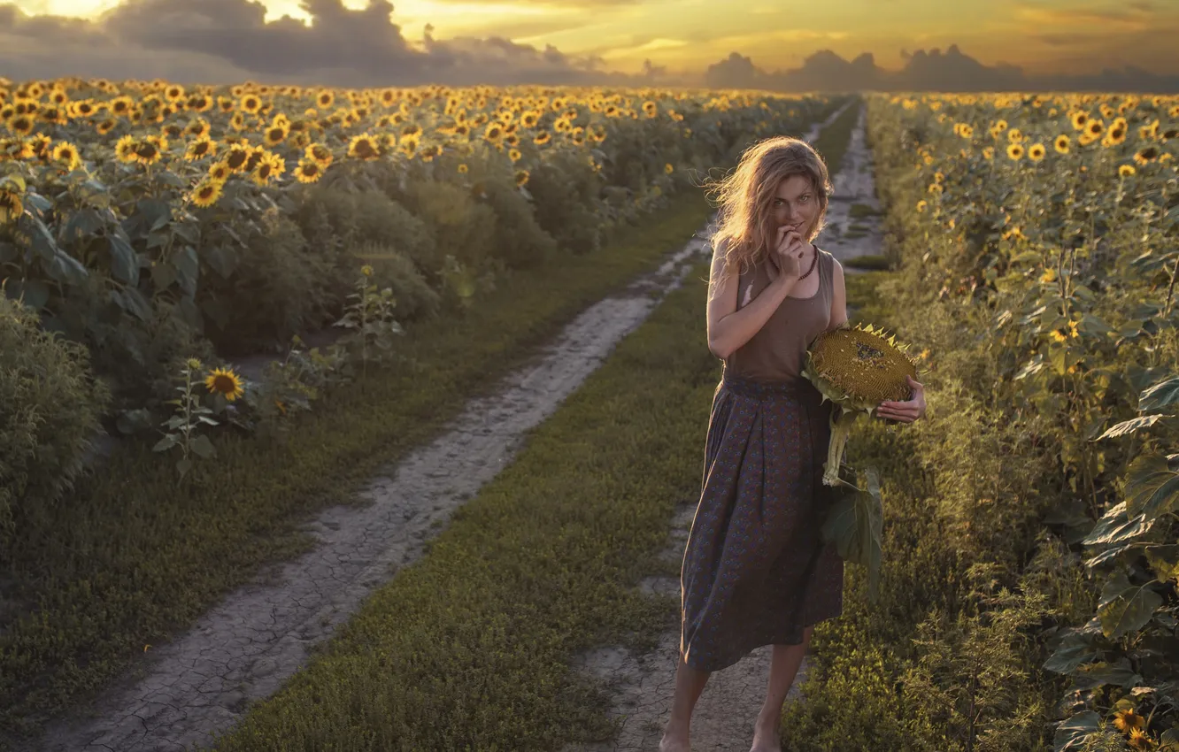 Фото обои Girl, beautiful, view, look, cute, sunflower, sunflowers, Sun light