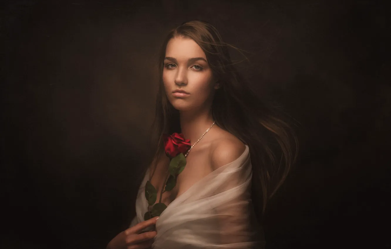 Фото обои взгляд, девушка, лицо, темный фон, роза, портрет, накидка, длинноволосая