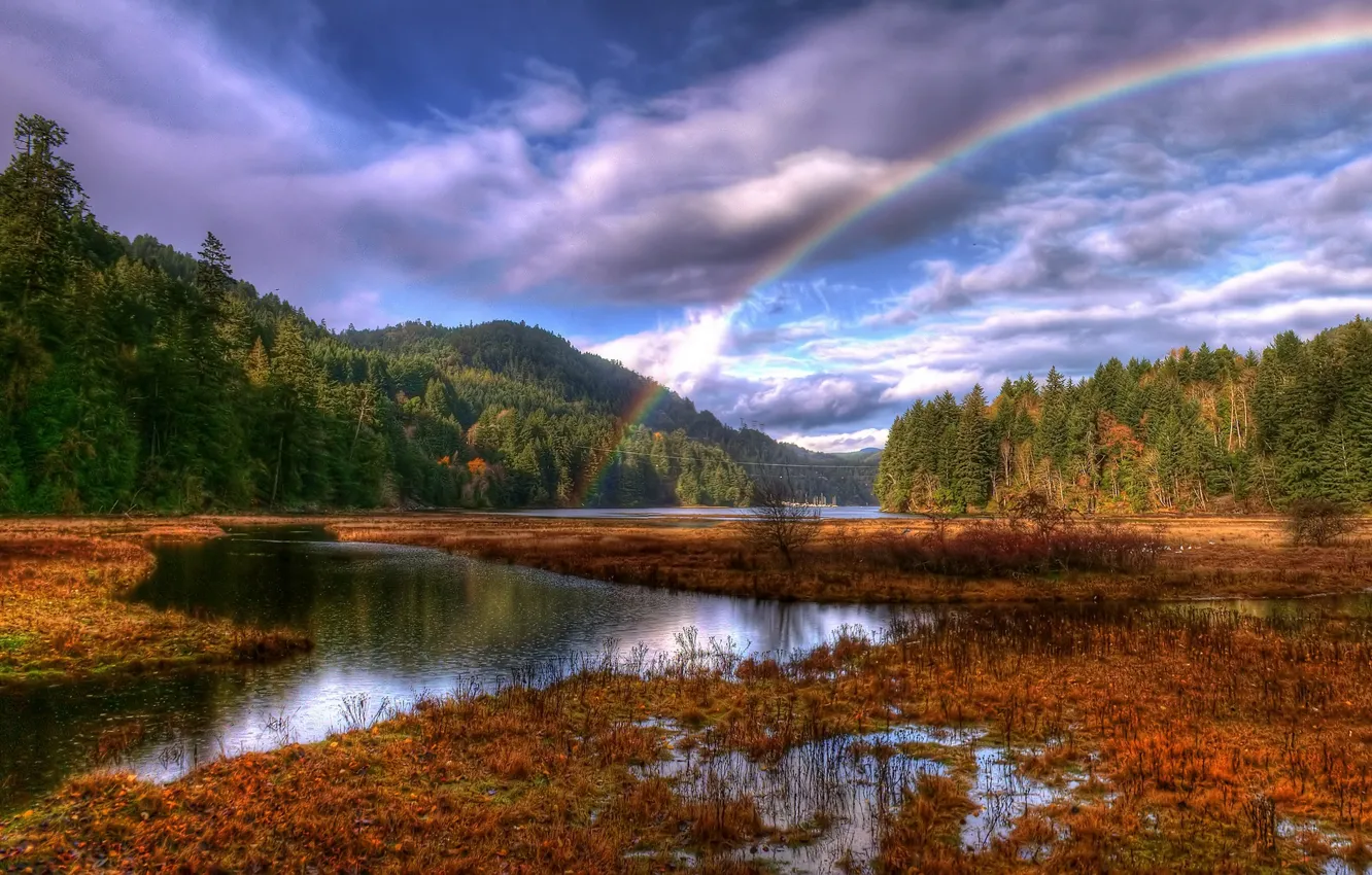 Фото обои лес, облака, радуга