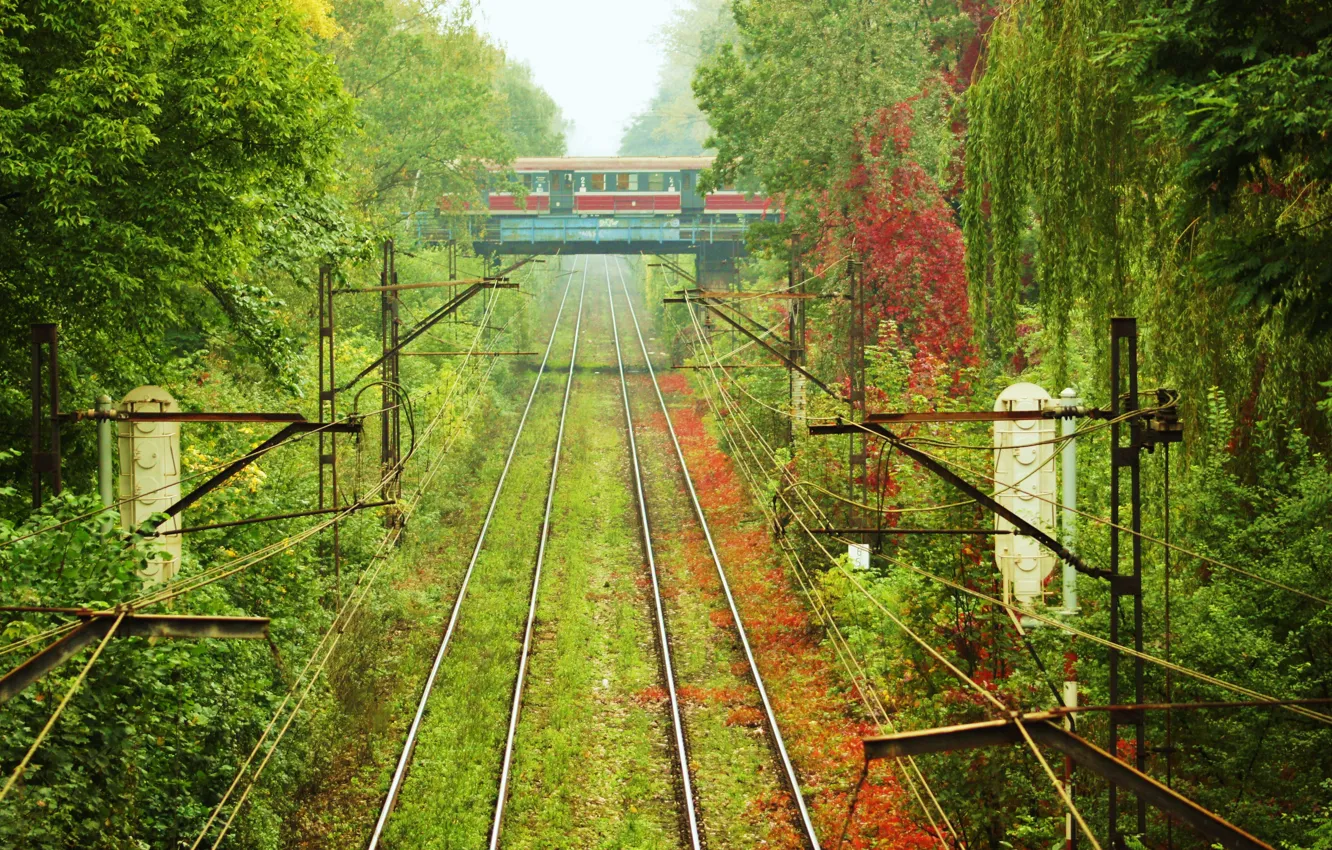 Фото обои трава, деревья, рельсы, поезд, вагон
