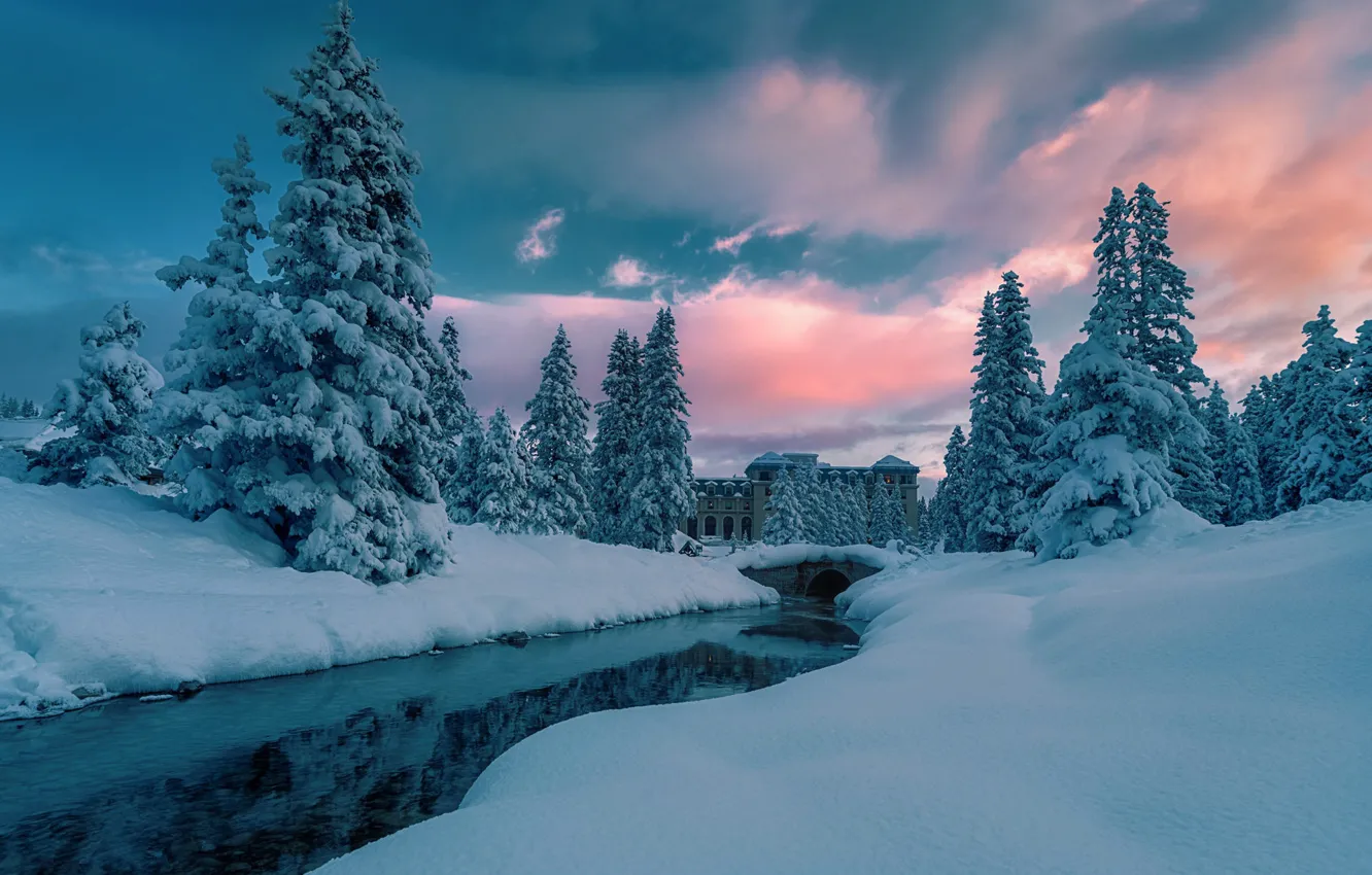 Фото обои Вода, Зима, Река, Снег, Утро, Ельник