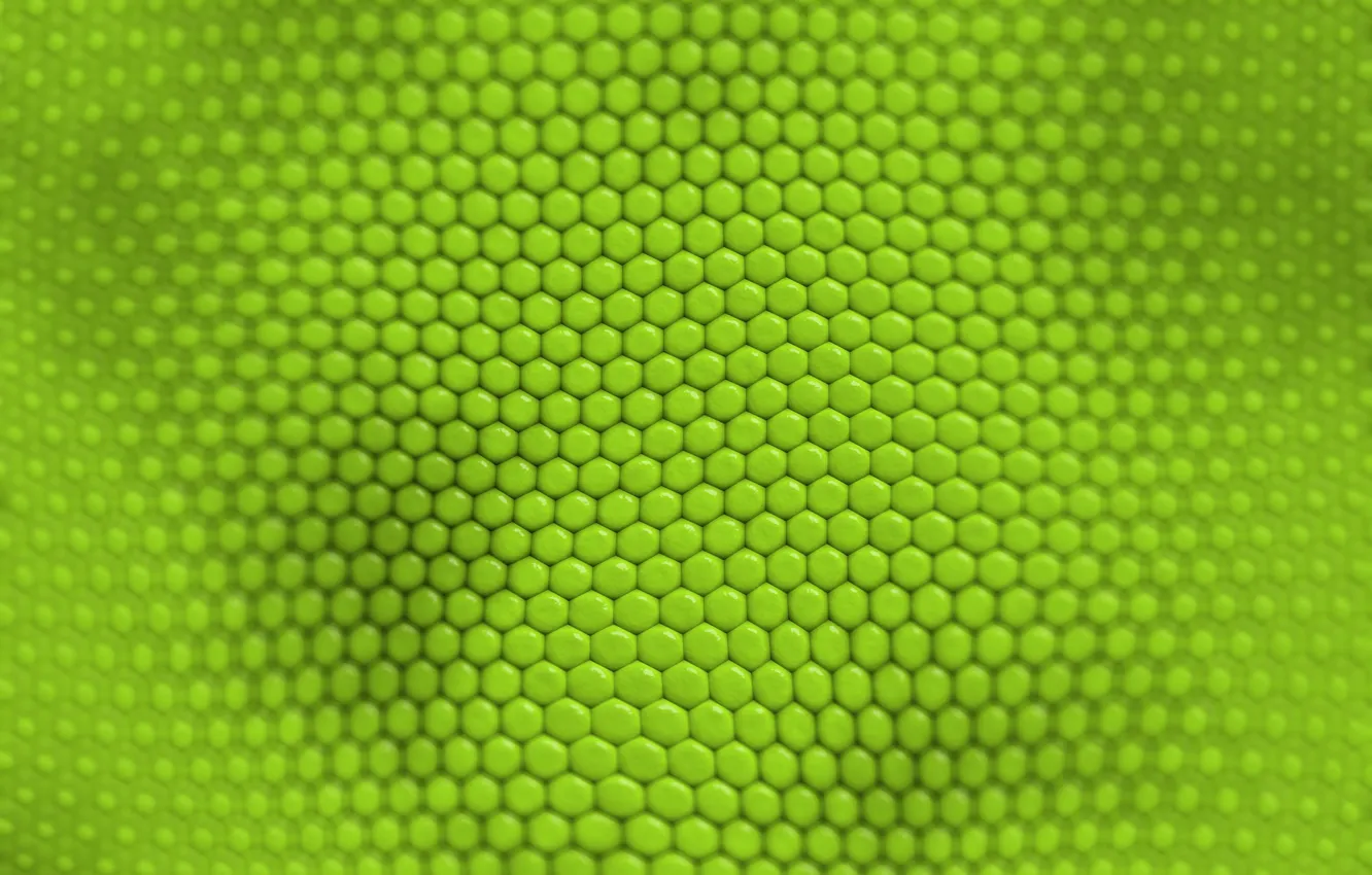 Фото обои текстура, зелёный, ячейки