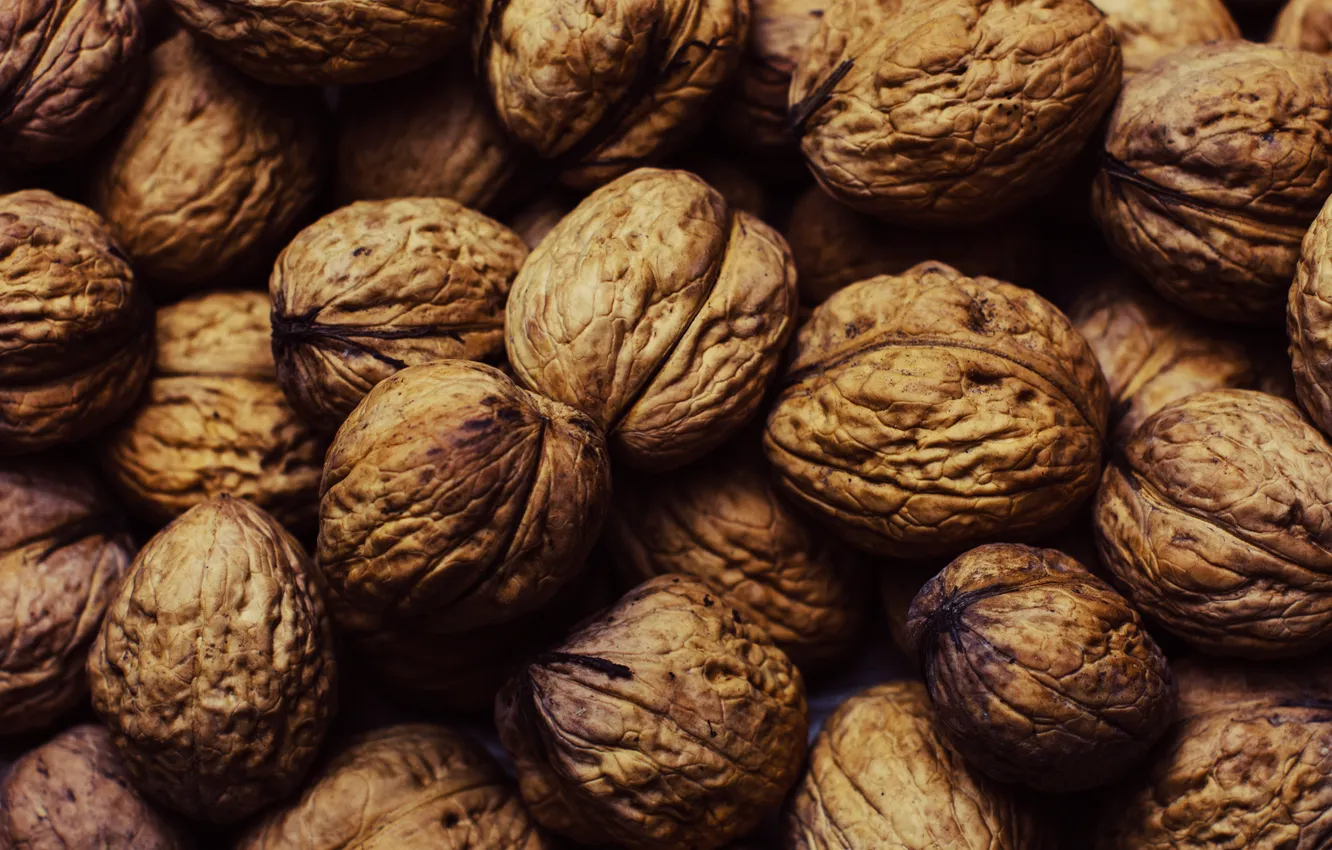 Фото обои орех, nuts, walnuts, грецкий