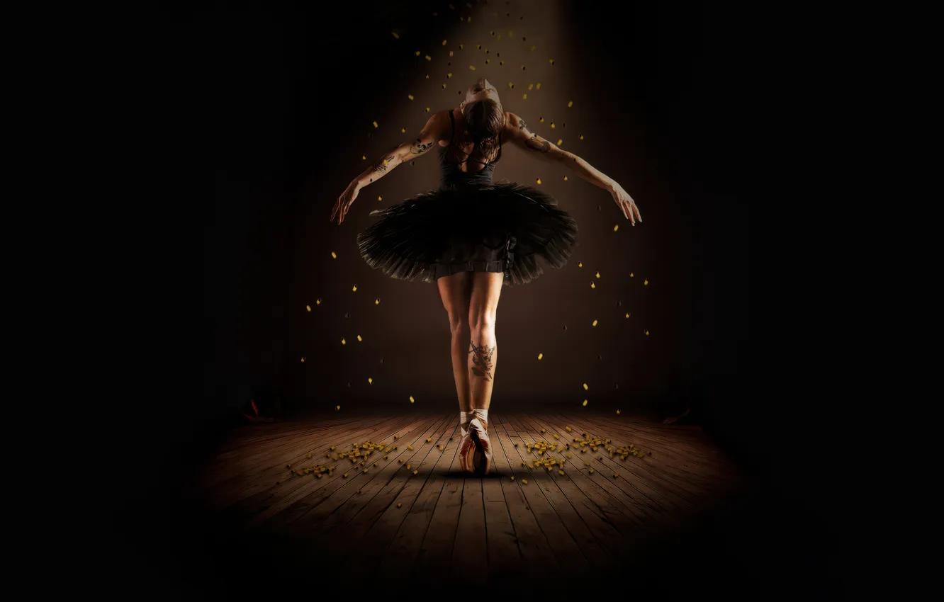 Фото обои девушка, балерина, балет, Ballerina, Ballerina 2025