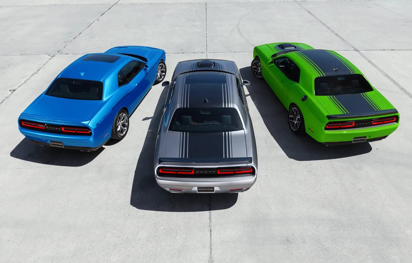 Фото обои Dodge, Challenger, Трио, Muscle Cars, R/T 2015, SXT 2015