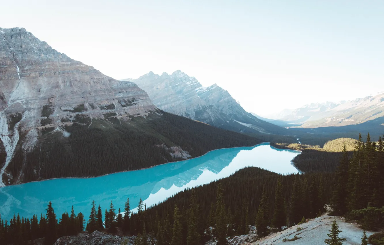Фото обои горы, озеро, лапа, Канада, леса