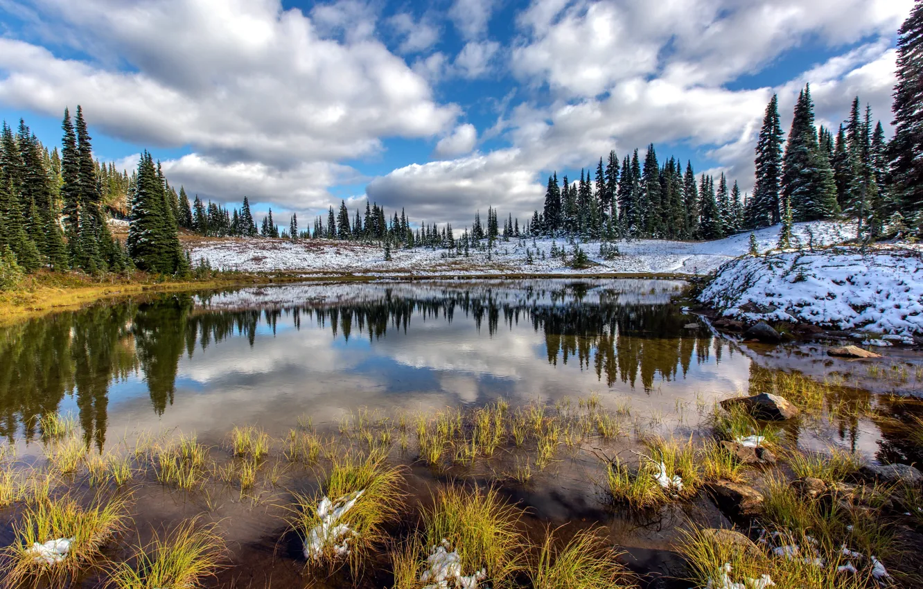 Фото обои осень, природа, Mount Rainier National Park