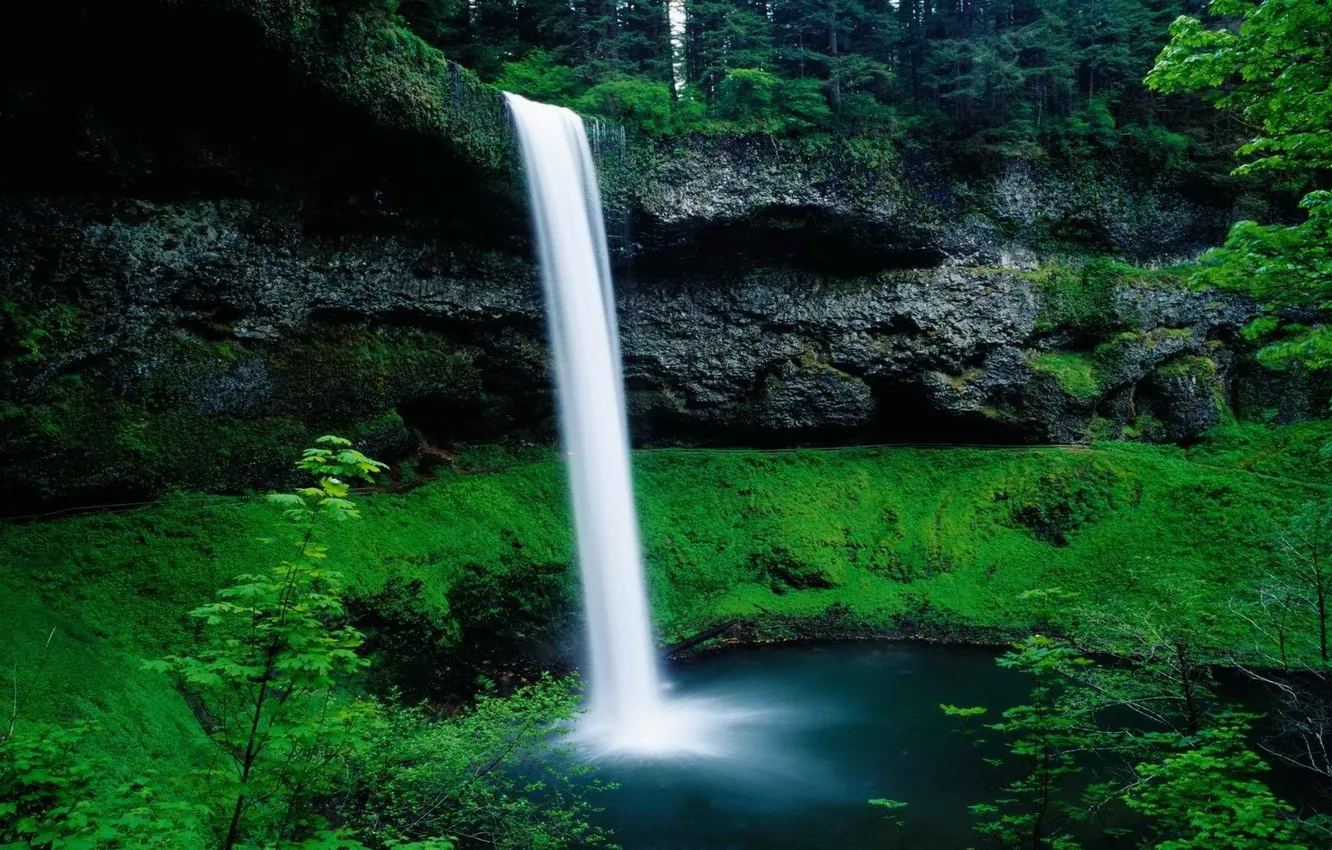 Фото обои зелень, вода, скала, водопад, Природа