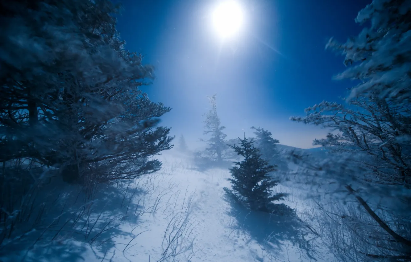 Фото обои зима, пейзаж, ночь, луна