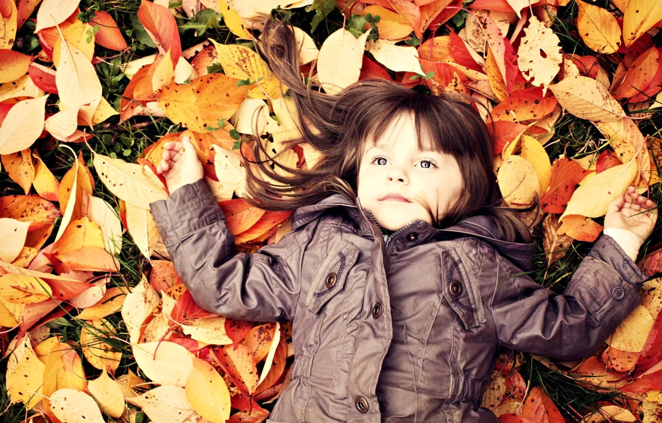 Фото обои осень, листья, ребенок, девочка, малышка, дитя, опавшие